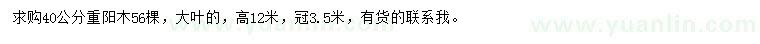 求購40公分重陽木