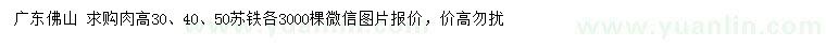 求購(gòu)高30、40、50公分蘇鐵