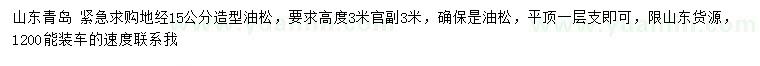 求購(gòu)地徑15公分造型油松
