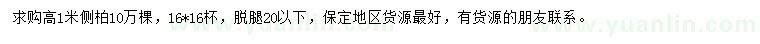 求購(gòu)高1米側(cè)柏