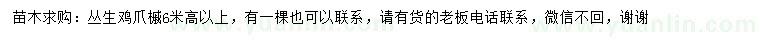 求購高6米以上叢生雞爪槭