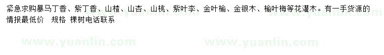 求購(gòu)暴馬丁香、紫丁香、山楂等