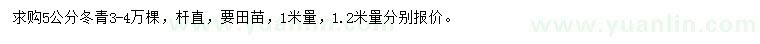 求購(gòu)5公分冬青