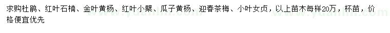 求購(gòu)杜鵑、紅葉石楠、金葉黃楊等