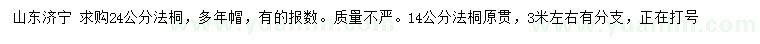 求購24公分法桐、14公分法桐