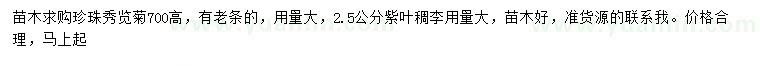 求購珍珠秀覽菊