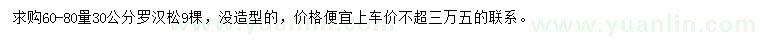 求購(gòu)60-80量30公分羅漢松