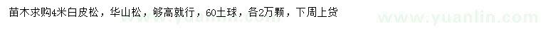 求購(gòu)4米白皮松、華山松