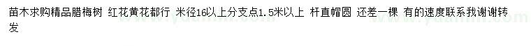 求購米徑16公分以上精品臘梅樹