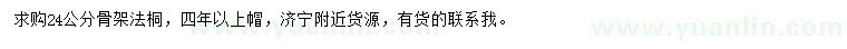 求購24公分骨架法桐