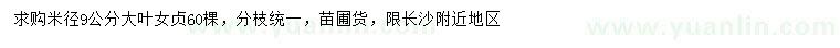 求購米徑9公分大葉女貞