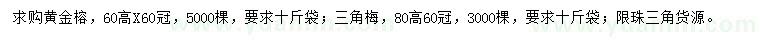 求購高60公分黃金榕、高80公分三角梅