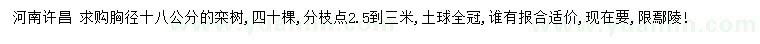 求購(gòu)胸徑18公分欒樹