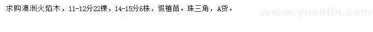 求購11-12、14-15公分澳洲火焰木