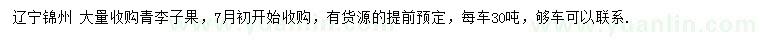 求購(gòu)青李子果
