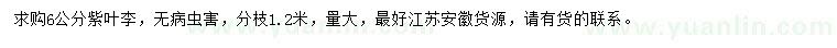 求購(gòu)6公分紫葉李