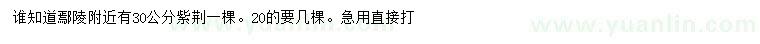 求購30公分紫荊