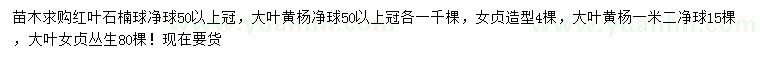 求購紅葉石楠球凈球、大葉黃楊凈球、女貞等
