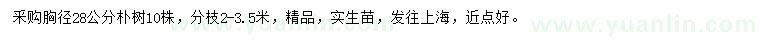 求購(gòu)胸徑28公分樸樹(shù)