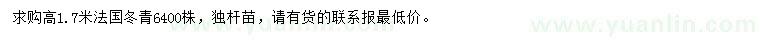 求購高1.7米法國(guó)冬青