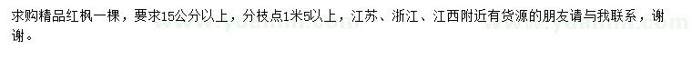 求購15公分以上精品紅楓