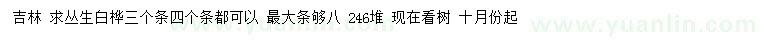 求購叢生白樺