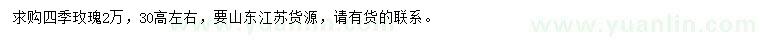 求購高30公分左右四季玫瑰