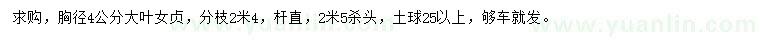 求購胸徑4公分大葉女貞