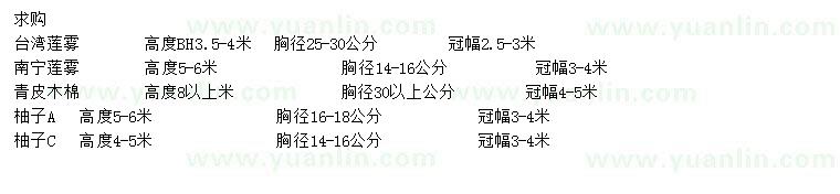 求購臺灣蓮霧、南寧蓮霧、青皮木棉等