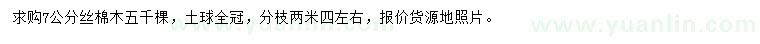 求購7公分絲棉木