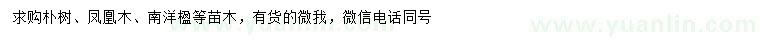 求購樸樹、鳳凰木、南洋楹等