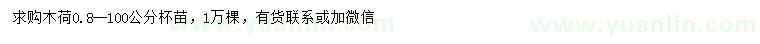 求購0.8-100公分木荷杯苗