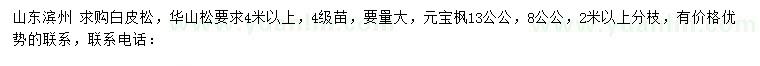 求購白皮松、華山松、元寶楓