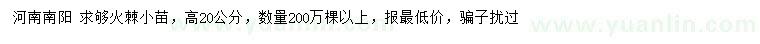 求購高20公分火棘小苗