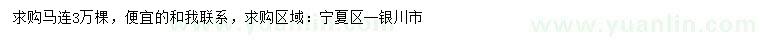 求購馬連