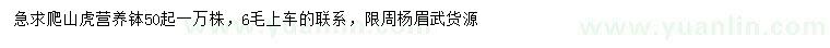 求購爬山虎