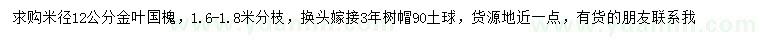 求購米徑12公分金葉國槐