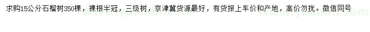 求購15公分石榴樹