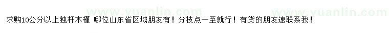 求購(gòu)10公分以上獨(dú)桿木槿