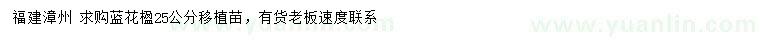 求購25公分藍(lán)花楹移植苗