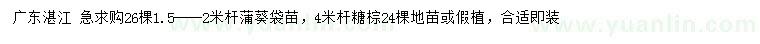 求購1.5-2米桿蒲葵袋苗、桿4米糖棕