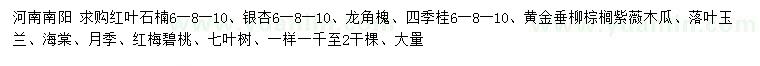 求購紅葉石楠、銀杏、龍角槐等
