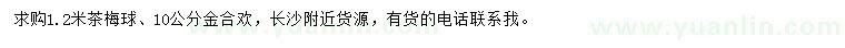 求購1.2米茶梅球、10公分金合歡