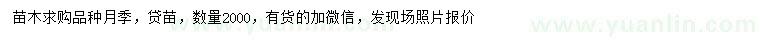 求購月季袋苗