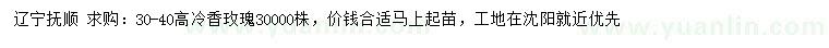 求購高30-40公分冷香玫瑰
