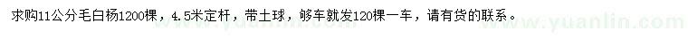 求購11公分毛白楊