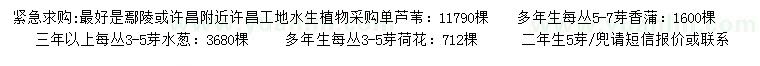 求購蘆葦、香蒲、水蔥等