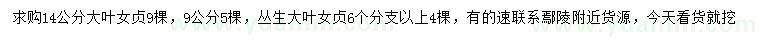 求購(gòu)9、14公分大葉女貞、6分枝叢生大葉女貞
