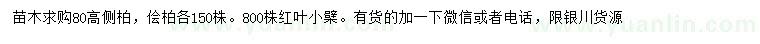 求購(gòu)高80公分側(cè)柏、儈柏