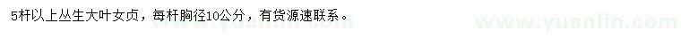 求購5桿以上叢生大葉女貞